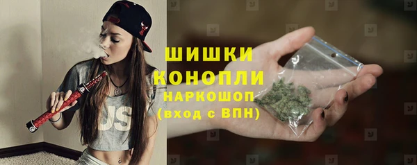 трава Балахна