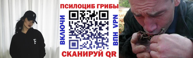 где продают наркотики  Серов  blacksprut ссылка  Псилоцибиновые грибы мухоморы 